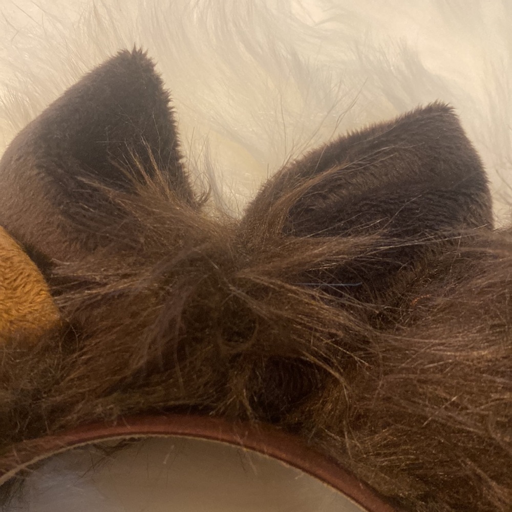 Disney ears - Picture 8 of 11